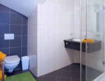 sink, indoor, plumbing fixture, shower, bathtub, tap, bathroom accessory